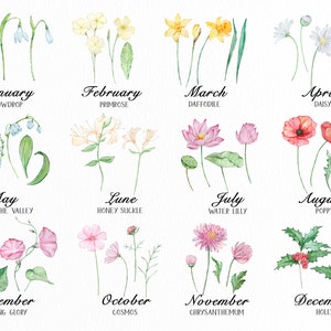 Watercolor Birth Month Flower Clipart Floral PNG Birthday Florals ...