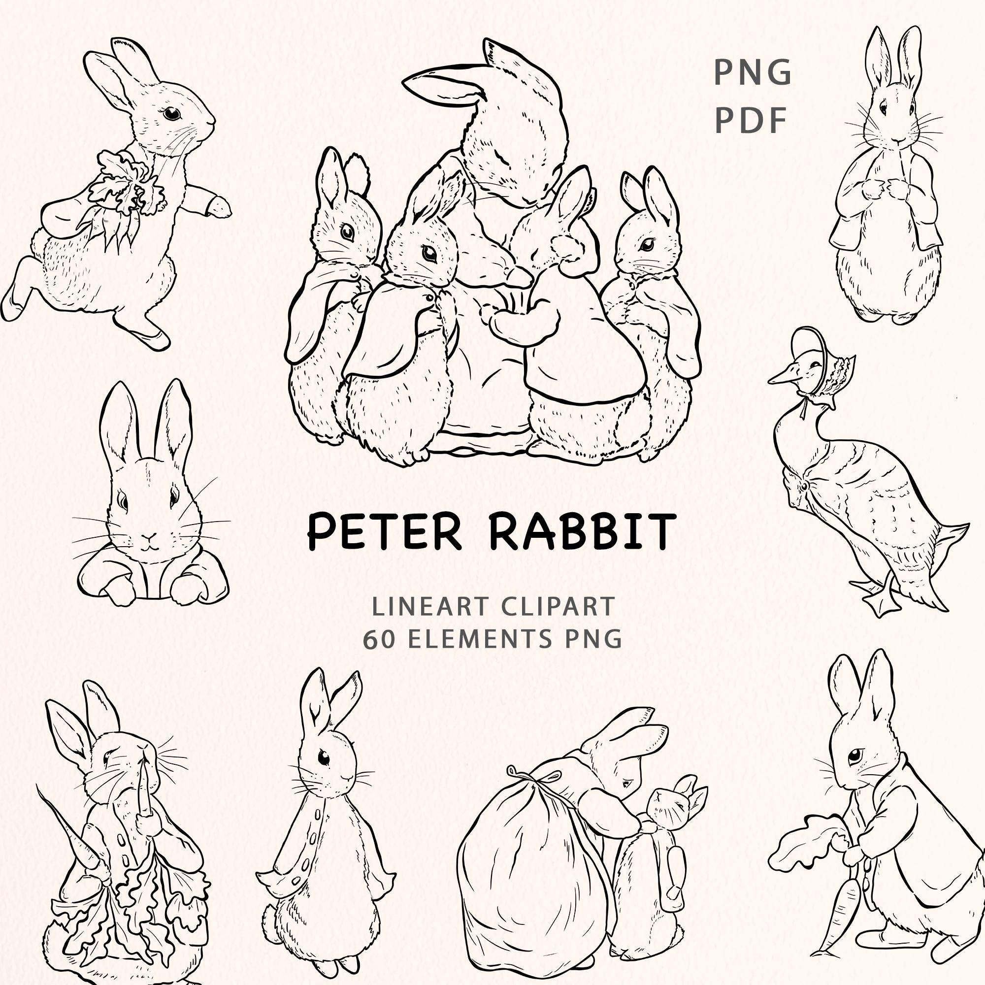 Peter Rabbit Line Art Clipart | Black and White Peter Rabbit PNG ...