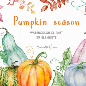 Pumpkin Watercolor Clipart | Autumn harvest | Fall Clipart | Thanksgiving Decor Clipart PNG | bright pumpkin | Autumn Floral png | Farmhouse
