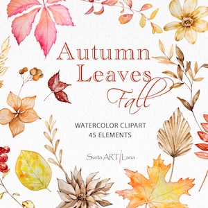 Clipart floreale autunnale ad acquerello / Clipart di foglie autunnali / Foglie autunnali ad acquerello / Clipart di fiori gialli / Decorazioni per matrimoni / Foglie secche png