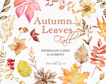 Watercolor Autumn Floral Clipart | Fall Leaves Clipart | Autumn Watercolor Leaves | Yellow Flowers Clipart | Beige Floral | Dried Leaves png