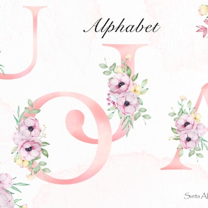 Clipart alfabeto rosa acquerello / lettere di fiori / lettere Boho / alfabeto floreale primaverile / iniziali monogramma PNG / monogramma di decorazione per matrimonio