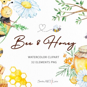 水彩画の蜂蜜と蜂のクリップアート | デイジーの花柄 png | ハニーディッパー | ハニカム | 水彩画の蜂蜜瓶 | 小さな蜂蜜の蜂 png | 保育園のスイート