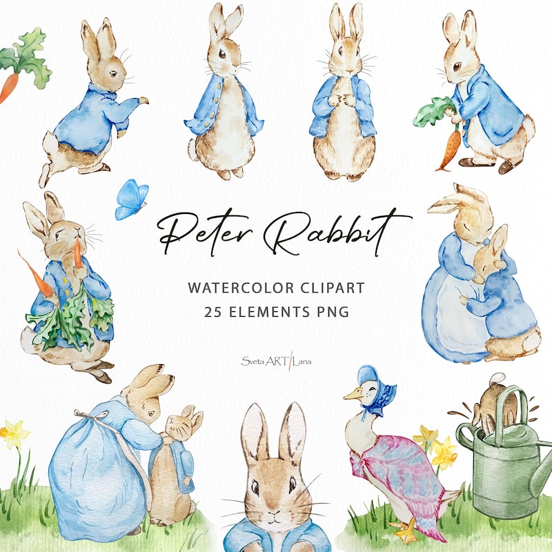 Petter Rabbit Baby Decor - Etsy