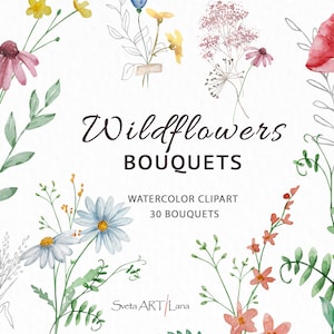 Aquarel wilde bloemen boeketten clipart | Weide-clipart | Bruiloftsclips | Bloemen zomer png | elegant botanisch ontwerp | Boho bloemen