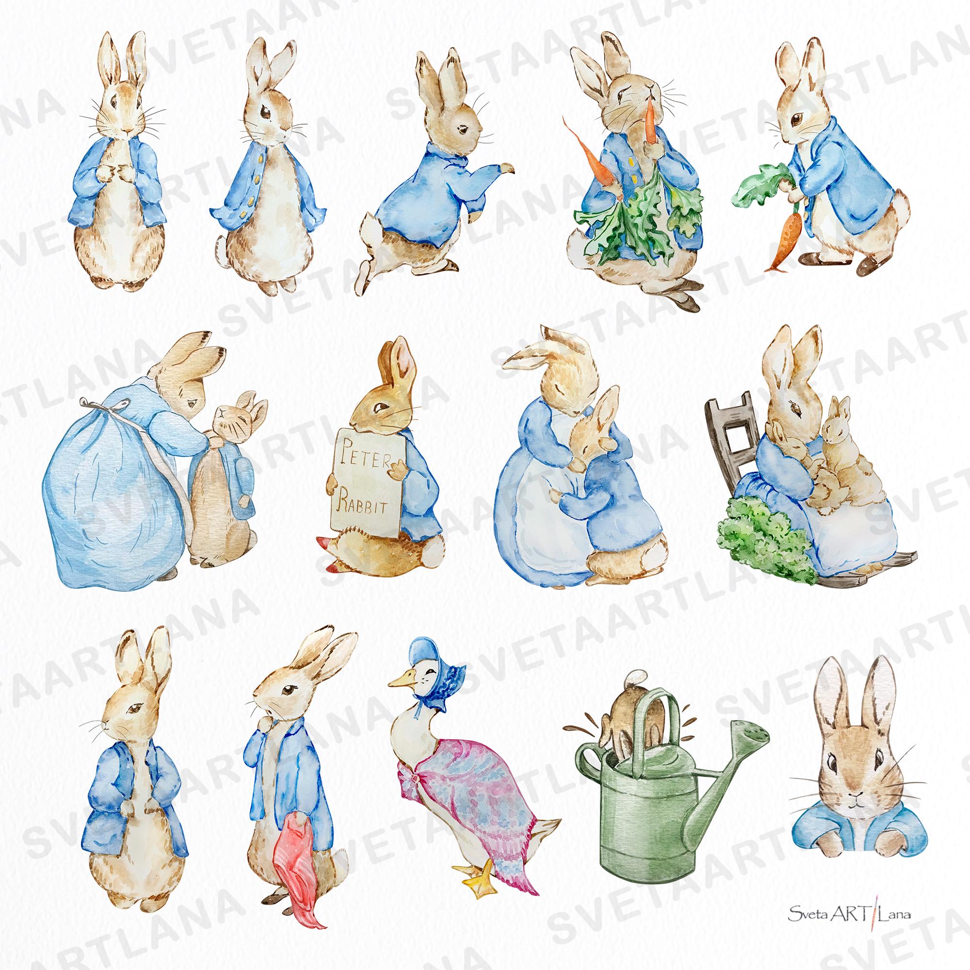 ピーターラビットと仲間たちのクリップアート | 水彩ウサギのPNG