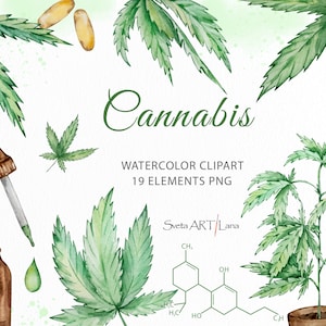 Clipart de cáñamo de cannabis en acuarela / Ramas y hojas de cannabis / Comida orgánica saludable / Clipart de marihuana / Cannabis sativa / Aceite de cannabis