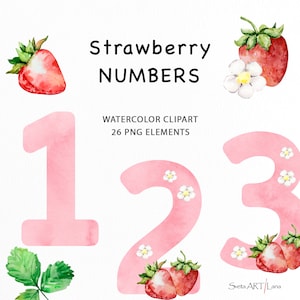 Chiffres roses pour chambre d'enfant PNG | Aquarelle fraise chiffres individuels des cliparts | Conception d'anniversaire de fille de chiffres roses de chambre d'enfant | Décoration douce aux baies