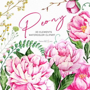 Watercolor Peonies Clipart | Watercolor floral | Wildflowers png | Elegant Greenery | pink peony clipart | Summer bloom flowers | aesthetic