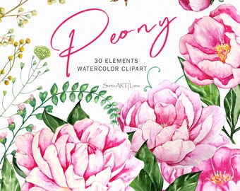 Peonies Watercolor Flowers Clipart, Hand painted Watercolour floral, Wedding invitation, Mothers day flowers, Pink Peony, Wedding Clip Art