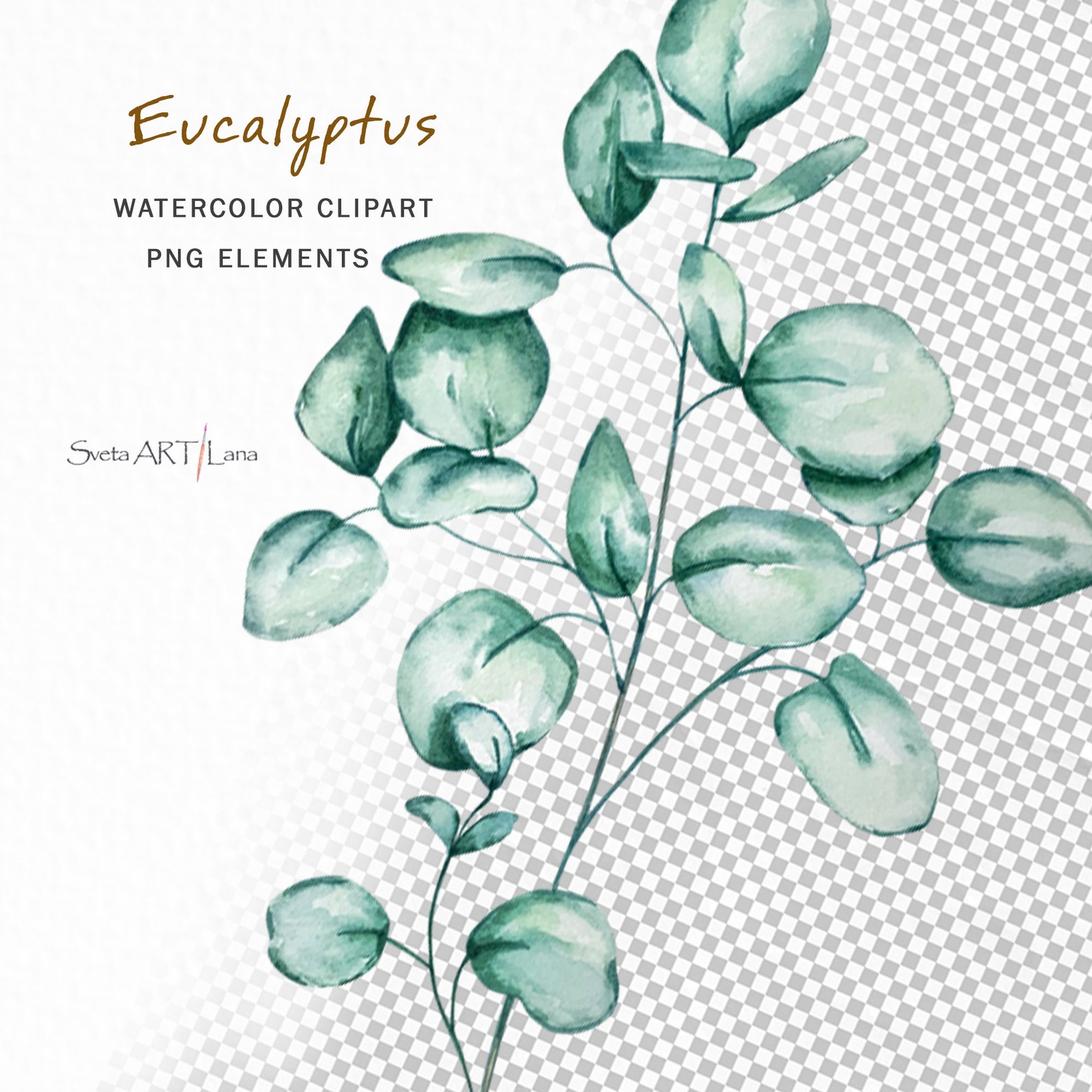 Watercolor Eucalyptus Clipart | Greenery Floral Clipart Png | Evergreen ...