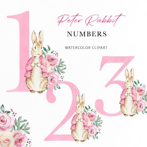 Peter Rabbit Rosa Blumenzahlen PNG | Aquarell Flopsie Bunny Einzelne Zahlen Clipart | Niedliches Häschen mit rosa Zahlen | Geburtstag Design