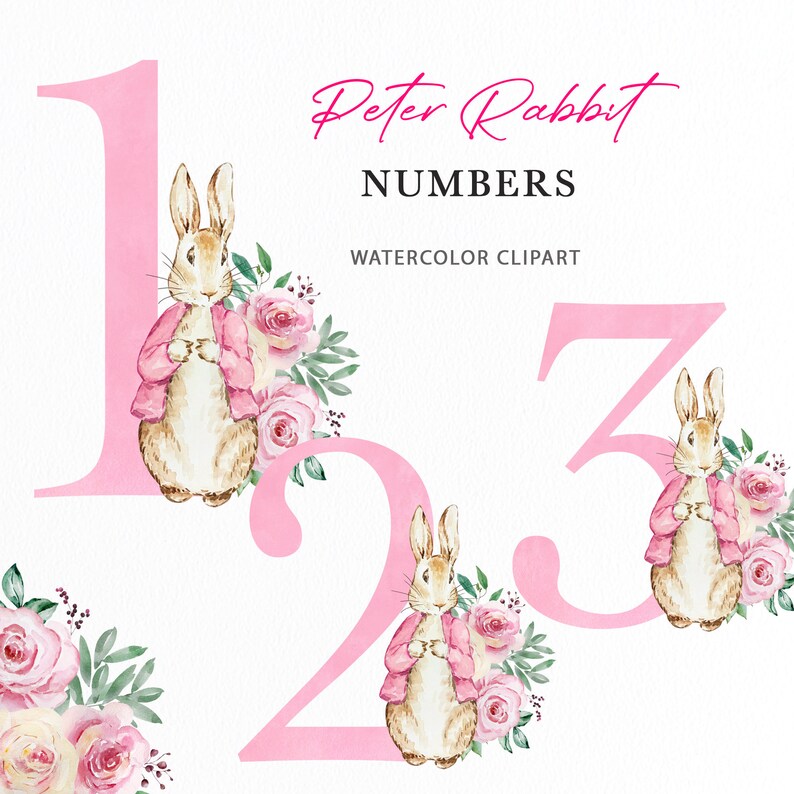 Cartoon Rabbit Numbers For Kids Peter Rabbit Pink Numbers | Watercolor Flopsy Bunny | Nursery Pink ...