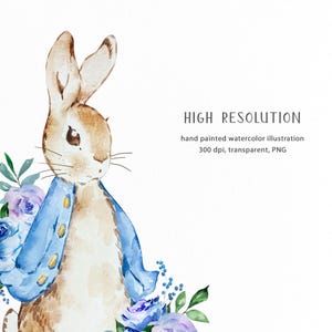 Clipart Peter Rabbit | Aquarel bloemen konijn png | Beatrix Potter-kunstafbeeldingen | Schattige konijntjeslijst | Bloemenlijst babykamer | WPRC78 afbeelding 10