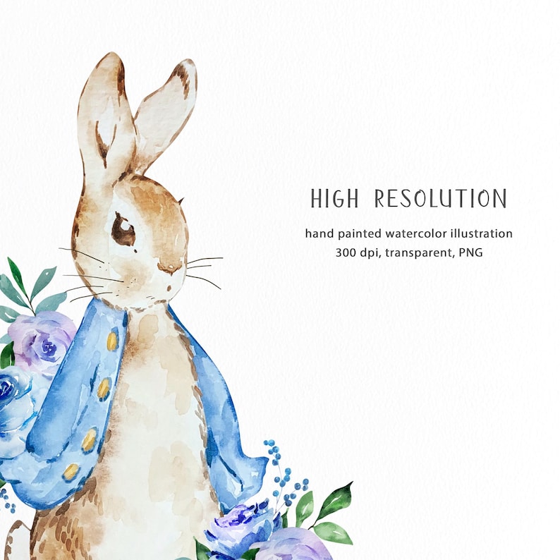 Clipart Peter Rabbit | Aquarel bloemen konijn png | Beatrix Potter-kunstafbeeldingen | Schattige konijntjeslijst | Bloemenlijst babykamer | WPRC78 afbeelding 10