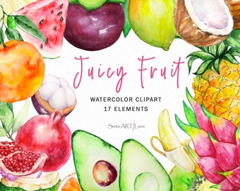 Watercolor Tropical Fruits Clipart | Watercolor summer fruits | Watermelon, Pineapple,  Banana, avocado | Juicy Food Clipart | Citrus png