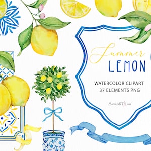 Aquarel citroen clipart | Chinoiserie, png | Italiaanse botanische zomercitrus | Grandmillennial-citroenkam | blauwe tegel | Mediterrane citroen