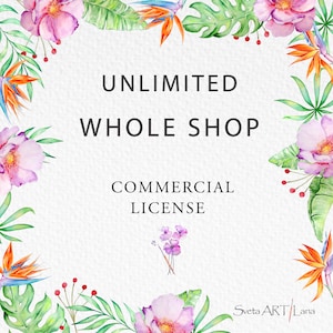 UNBEGRENZTER GANZER SHOP Kommerzielle Lizenz, Massenproduktionslizenz, Unbegrenzter Verkauf