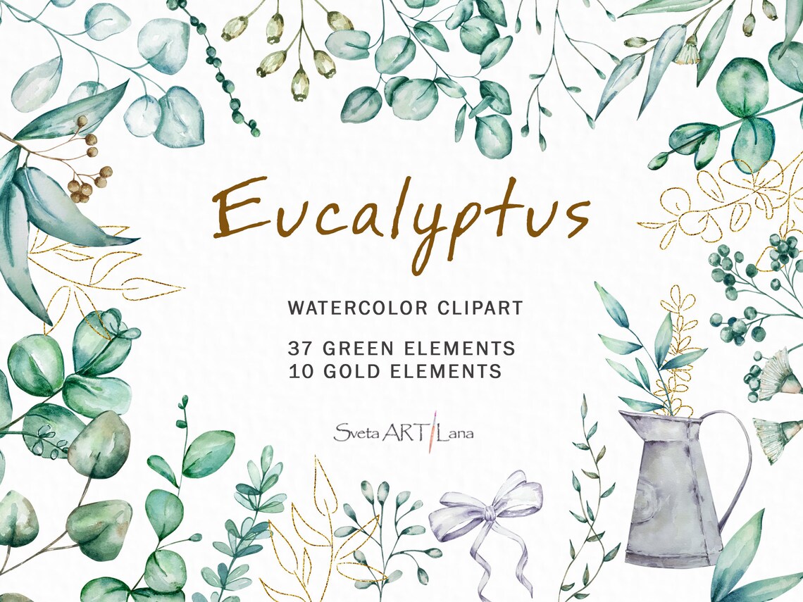 Watercolor Eucalyptus Clipart | Greenery Floral Clipart Png | Evergreen ...