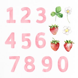Pink Nursery Numbers PNG | Watercolor Strawberry Individual Numbers ...