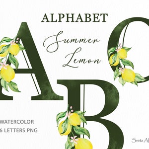 Alfabeto de limón Clipart / Acuarela Verano limón Alfabeto PNG / Cítricos 26 Letras / Carta Floral Verde / Iniciales de monograma de frutas exóticas PNG