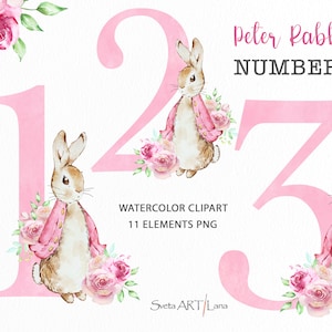 Flopsie Kaninchen Rosa Blumenzahlen PNG | Aquarell Peter Rabbit Einzelne Zahlen Clipart | Niedliches Häschen mit rosa Zahlen im Geburtstagsdesign
