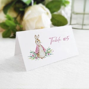 Clipart Peter Rabbit | Aquarel bloemen konijn png | Beatrix Potter-kunstafbeeldingen | Schattige konijntjeslijst | Bloemenlijst babykamer | WPRC78 afbeelding 8