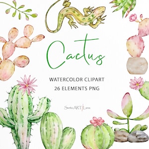 Clipart de cactus de acuarela / Planta tropical bohemia / Clip Art de vegetación de cactus mexicanos / Plantas florales del desierto / Lagarto png / Botánico exótico