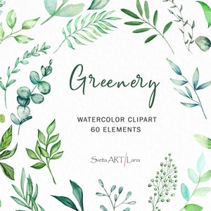 Watercolor Greenery Clipart | Green Eucalyptus Clip Art | Greenery Branches Leaves Clipart | boho garden | farmhouse png | evergreen floral