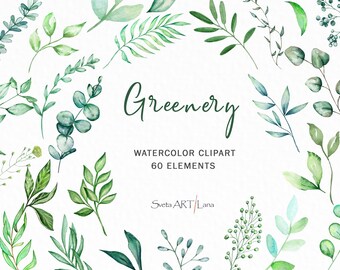 Watercolor Greenery Clipart | Green Eucalyptus Clip Art | Greenery Branches Leaves Clipart | boho garden | farmhouse png | evergreen floral