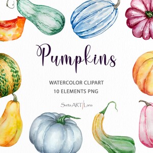 Watercolor Pumpkins Clipart | Autumn Pumpkins Clip art | Fall Clipart | Brigth Pumpkin Illustration Halloween | Watercolor Thanksgiving png