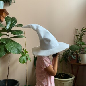 May include: A child wearing a white wizard hat with a wide brim. The hat is pointed and has a long, flowing point. The child is wearing a pink shirt with a floral pattern and is standing in front of a wall with plants.