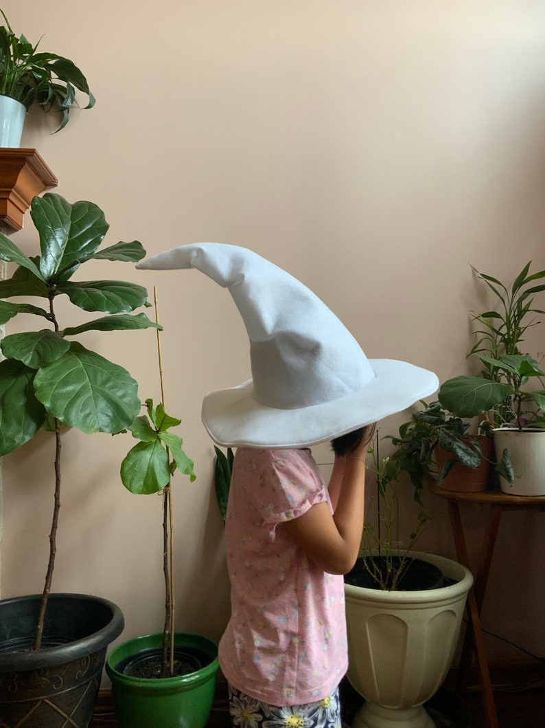 May include: A child wearing a white wizard hat with a wide brim. The hat is pointed and has a long, flowing point. The child is wearing a pink shirt with a floral pattern and is standing in front of a wall with plants.