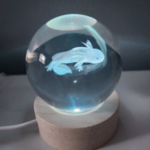 May include: A clear glass sphere with a white axolotl inside, sitting on a wooden base with a light underneath. The sphere is illuminated from below, casting a soft glow on the axolotl.