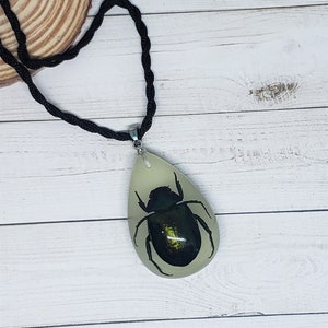 Tear Drop Shaped Resin Casted Real Beetle Pendant with Chord Necklace Glow in the Dark image 1