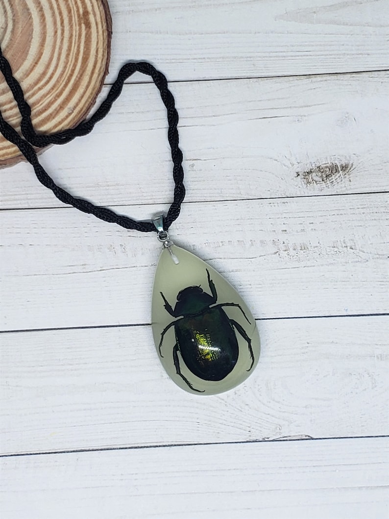 Tear Drop Shaped Resin Casted Real Beetle Pendant with Chord Necklace Glow in the Dark image 1