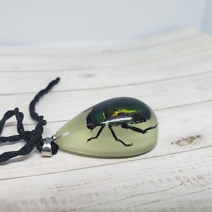 Tear Drop Shaped Resin Casted Real Beetle Pendant with Chord Necklace Glow in the Dark image 4