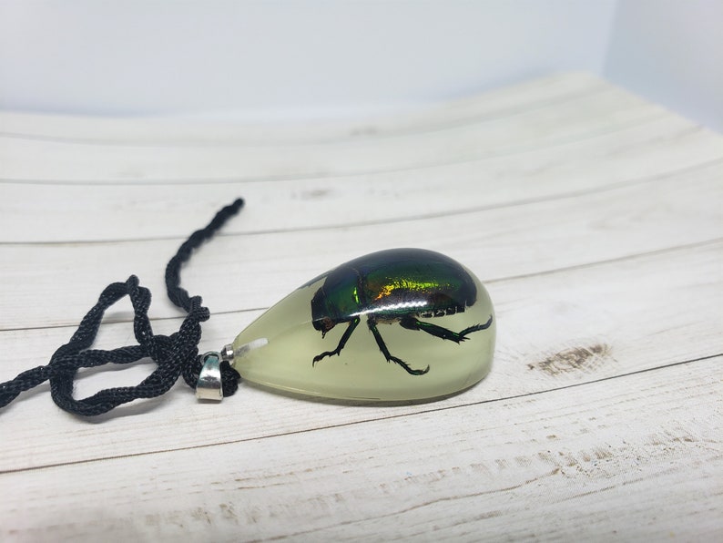 Tear Drop Shaped Resin Casted Real Beetle Pendant with Chord Necklace Glow in the Dark image 4