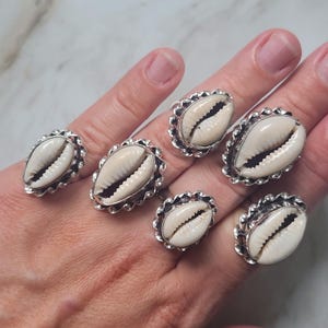 May include: Six rings featuring cream-colored cowrie shells set in scalloped silver-toned metal bands. Each ring displays a natural, oval-shaped shell with a central dark brown slit, securely mounted within a decorative, textured metal frame.