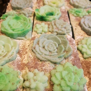 LESS THAN PERFECT: Succulent Garden, Baja Cactus Scented Cold Process Bar Soap
