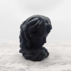 May include: A matte black carved stone figurine depicting a head with multiple snake-like appendages emerging from the top and sides. The sculpture features a smooth, dark surface with intricate details showing individual snake heads and coiled bodies.