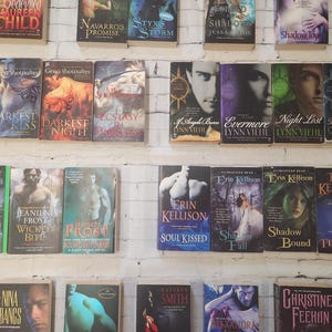 May include: A wall shelf filled with paperback books, mostly romance novels. The books are arranged in rows and are all different colors and sizes. Some of the titles include "Darkest Kiss", "Ecstasy in Darkness", "Evermore", "Night Lost", "Private Demon", "Soul Kissed", "Shadow Fall", "Shadow Bound", and "Fire Kissed".