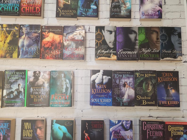 May include: A wall shelf filled with paperback books, mostly romance novels. The books are arranged in rows and are all different colors and sizes. Some of the titles include "Darkest Kiss", "Ecstasy in Darkness", "Evermore", "Night Lost", "Private Demon", "Soul Kissed", "Shadow Fall", "Shadow Bound", and "Fire Kissed".