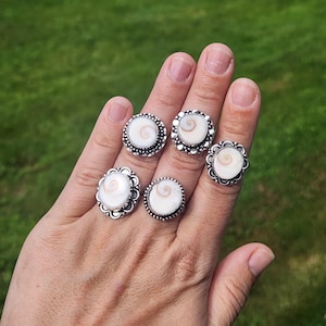 May include: Four silver rings featuring circular shiva eye shell inlays. Each ring displays a natural white and brown spiral pattern on the shell surface, set within decorative silver metal bands with beaded or scalloped edge detailing.