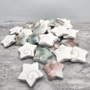 May include: A collection of star-shaped ornaments carved from Shiva eye shells. Each piece features a smooth, white surface with a natural spiral pattern in the center, while some display subtle shades of green, brown, and pink along the edges.