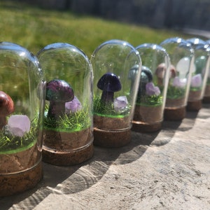 May include: A row of glass dome terrariums with miniature mushrooms and crystals inside. Each terrarium features a different colored mushroom and crystal, including purple, brown, and green.
