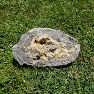 12 LB Large Chunk of Rough Septarian from Utah USA with Druzy Pockets