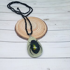 Tear Drop Shaped Resin Casted Real Beetle Pendant with Chord Necklace Glow in the Dark image 2