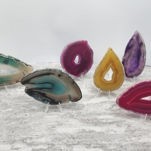 May include: A collection of six agate slices, each with a unique pattern and color, displayed on clear acrylic stands. The agates are in shades of green, blue, yellow, pink, and purple.