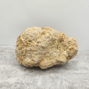 May include: A large, irregularly shaped, light brown rock with a rough, porous surface. The rock is sitting on a light gray surface.